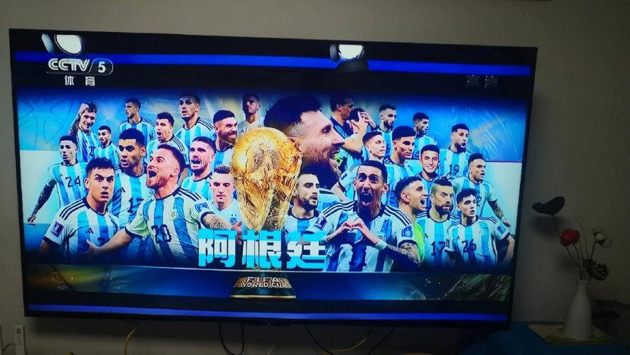 世界杯决赛直播