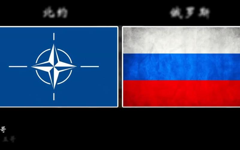 俄罗斯vs 各个国家